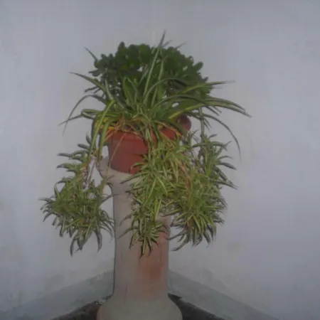 Ferienhaus Raggio Di Sole