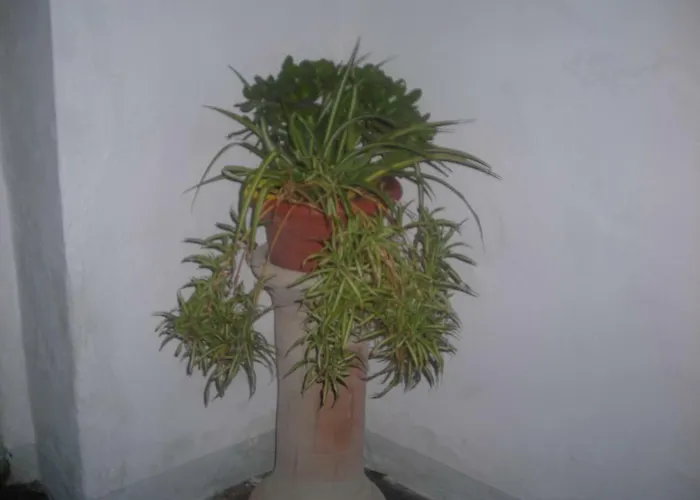 بيت للعطل Raggio Di Sole