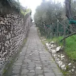 Raggio Di Sole *